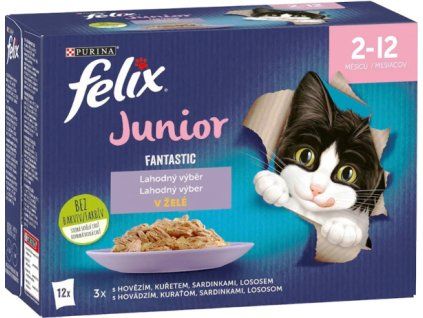 976424-Felix-Fantastic-Junior-kapsicky-p
