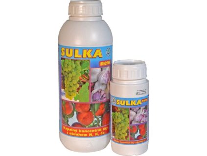 656212-biom-sulka-2024