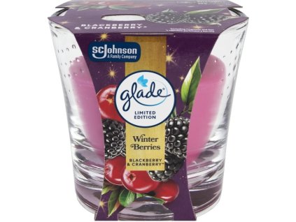 773129-glade-winter-beries
