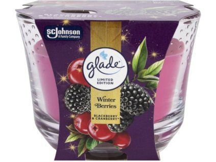 773155-glade-winter-berries-velka-svicka