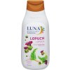 845408_luna bylinny_sampon_lopuchovy_430