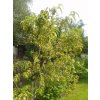 656127-agro-stop-kaderavosti-02