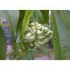 656127-agro-stop-kaderavosti-03
