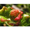 656127-agro-stop-kaderavosti-04