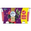 773127-glade-winter-beries-svicka-duo