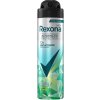 837137-rexona-men-iced-lemon-sage